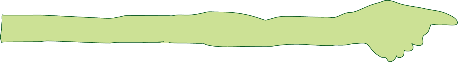 Light green hand pointing to the left; towards the buy button!